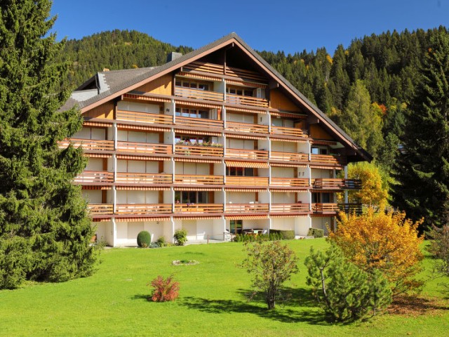 Switzerland Holiday rentals in Alpes Vaudoises, Villars