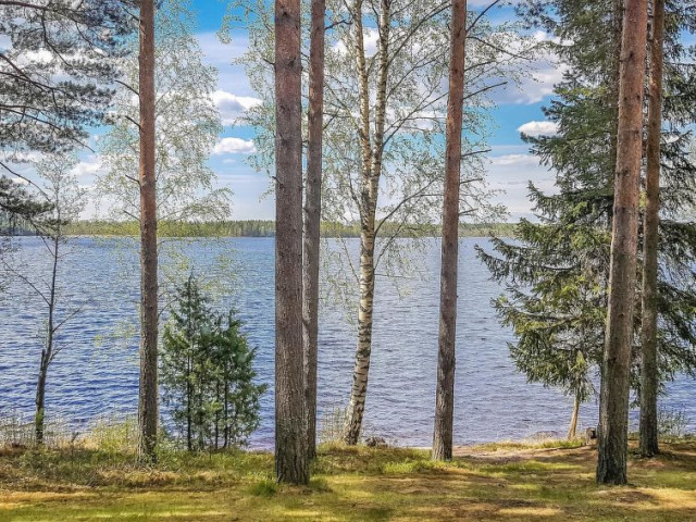 Finland Holiday rentals in Southern Savonia, Sulkava